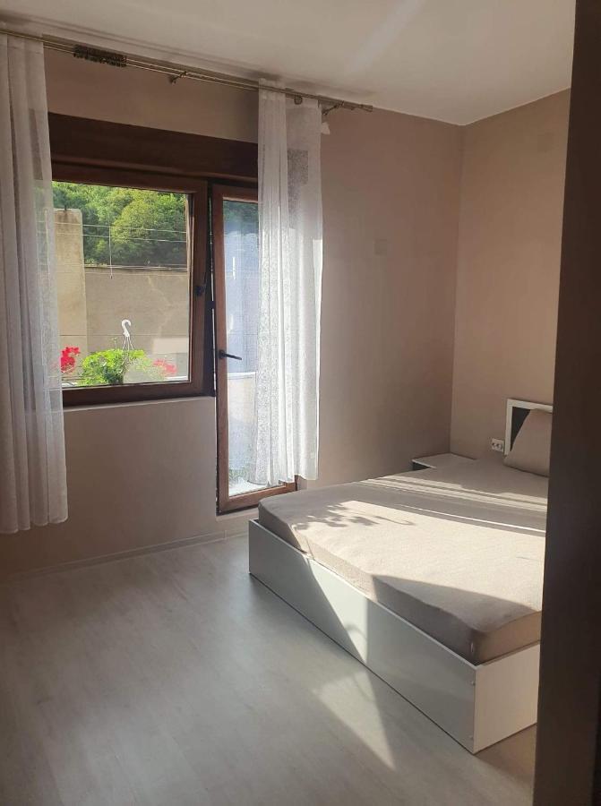 Casa Simionov Apartman Herkulesfürdő Kültér fotó